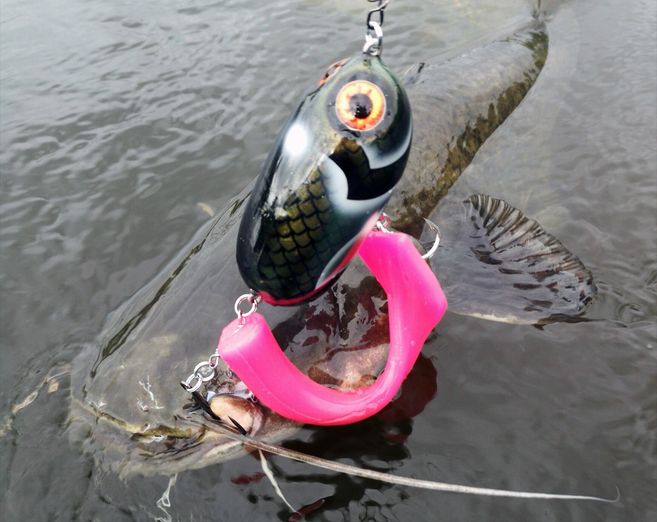 Esox Inc Titan